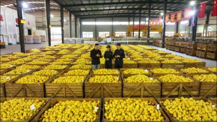 柑橘、檸檬、大蒜……重慶特色農(nóng)產(chǎn)品出海喜迎“開(kāi)門(mén)紅”