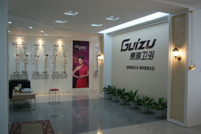 水暖五金與衛(wèi)生潔具 居家品質的堅實保障與優(yōu)雅呈現(xiàn)